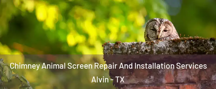  Chimney Animal Screen Repair And Installation Services Alvin - TX