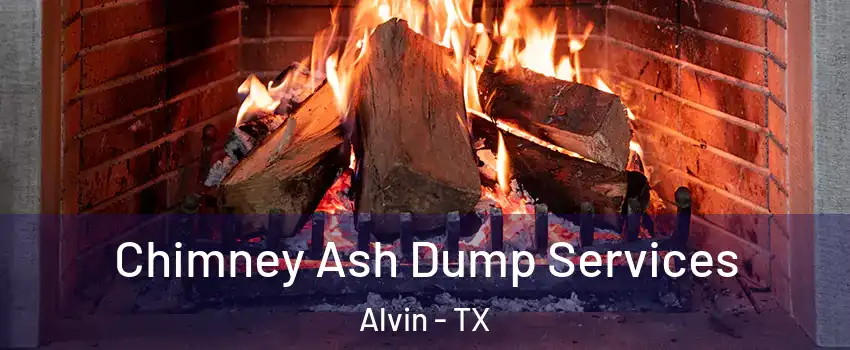  Chimney Ash Dump Services Alvin - TX