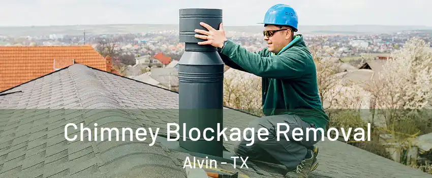  Chimney Blockage Removal Alvin - TX