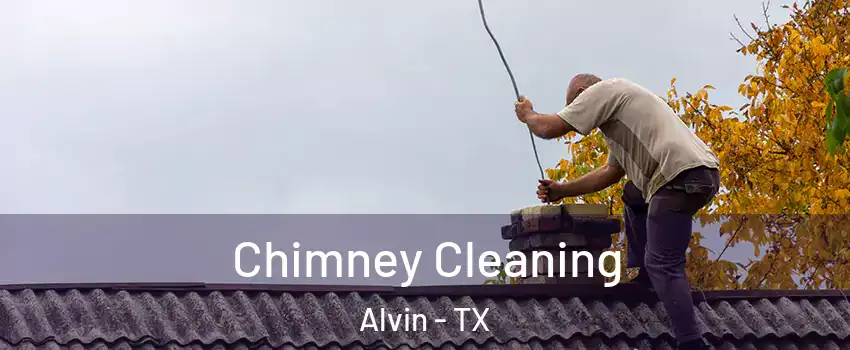  Chimney Cleaning Alvin - TX