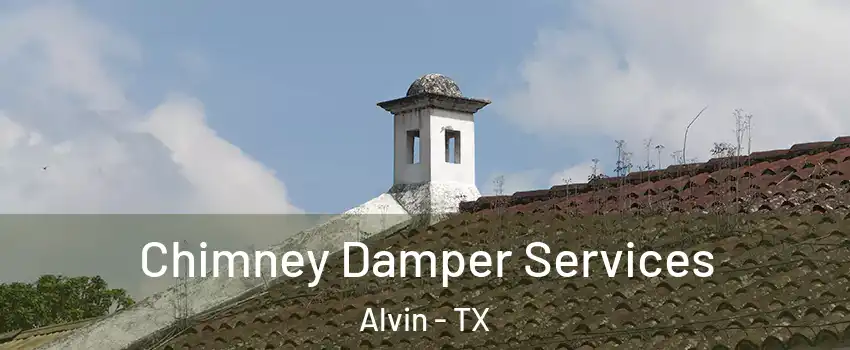  Chimney Damper Services Alvin - TX
