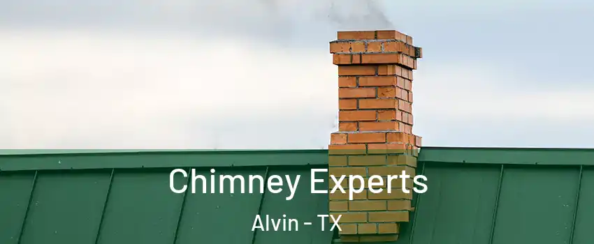 Chimney Experts Alvin - TX