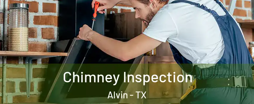  Chimney Inspection Alvin - TX