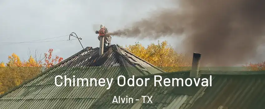  Chimney Odor Removal Alvin - TX