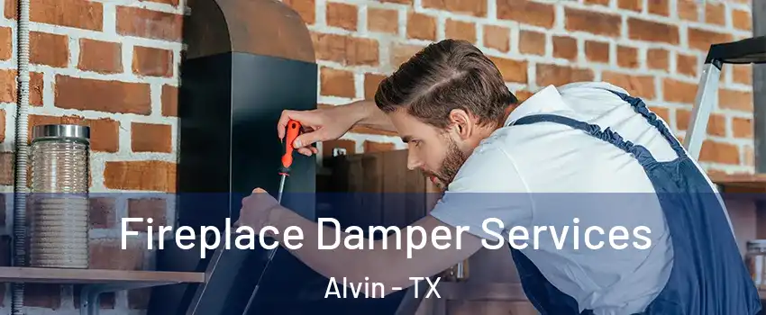  Fireplace Damper Services Alvin - TX
