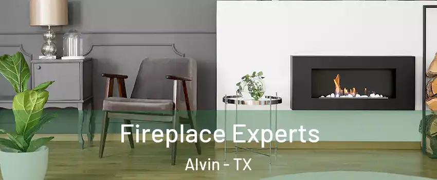  Fireplace Experts Alvin - TX