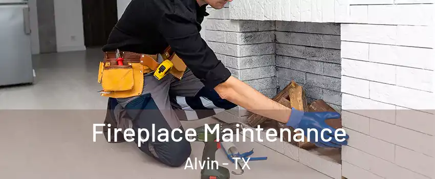  Fireplace Maintenance Alvin - TX