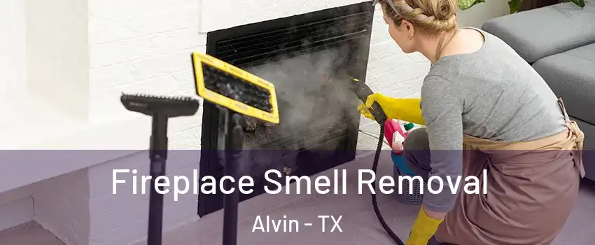  Fireplace Smell Removal Alvin - TX