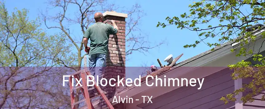  Fix Blocked Chimney Alvin - TX