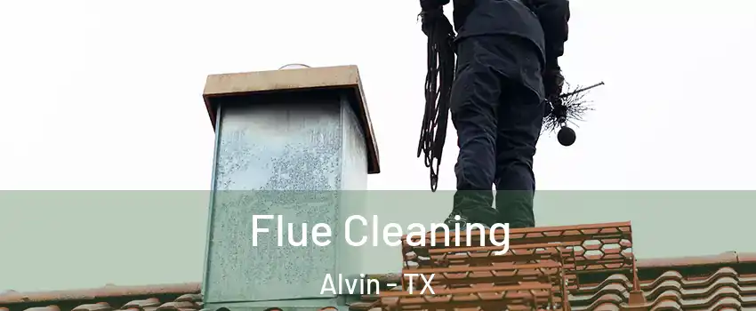  Flue Cleaning Alvin - TX