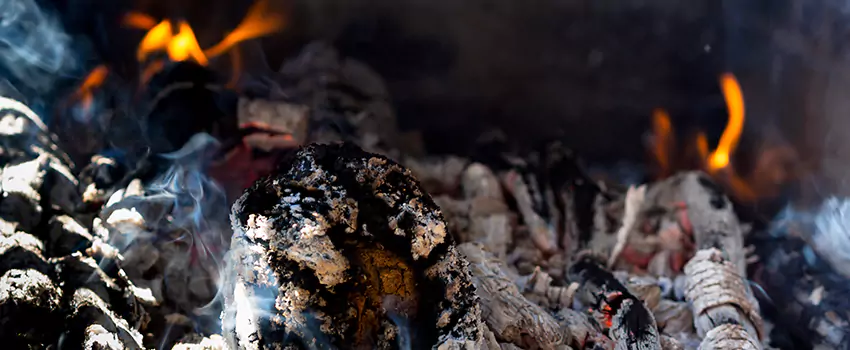 Creosote Removal Experts in Alvin, TX