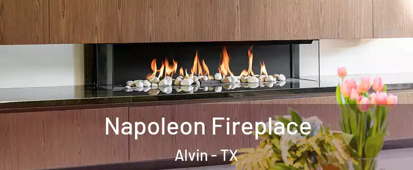  Napoleon Fireplace Alvin - TX